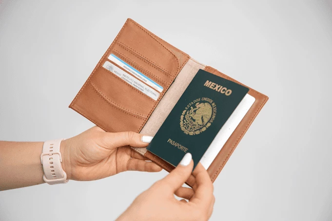 Porta Pasaporte de piel