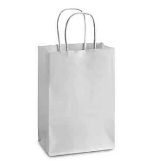 Bolsas De Papel Kraft Blanco Con Asas Torcidas #20