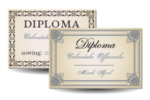 Diploma en Papel Opalina