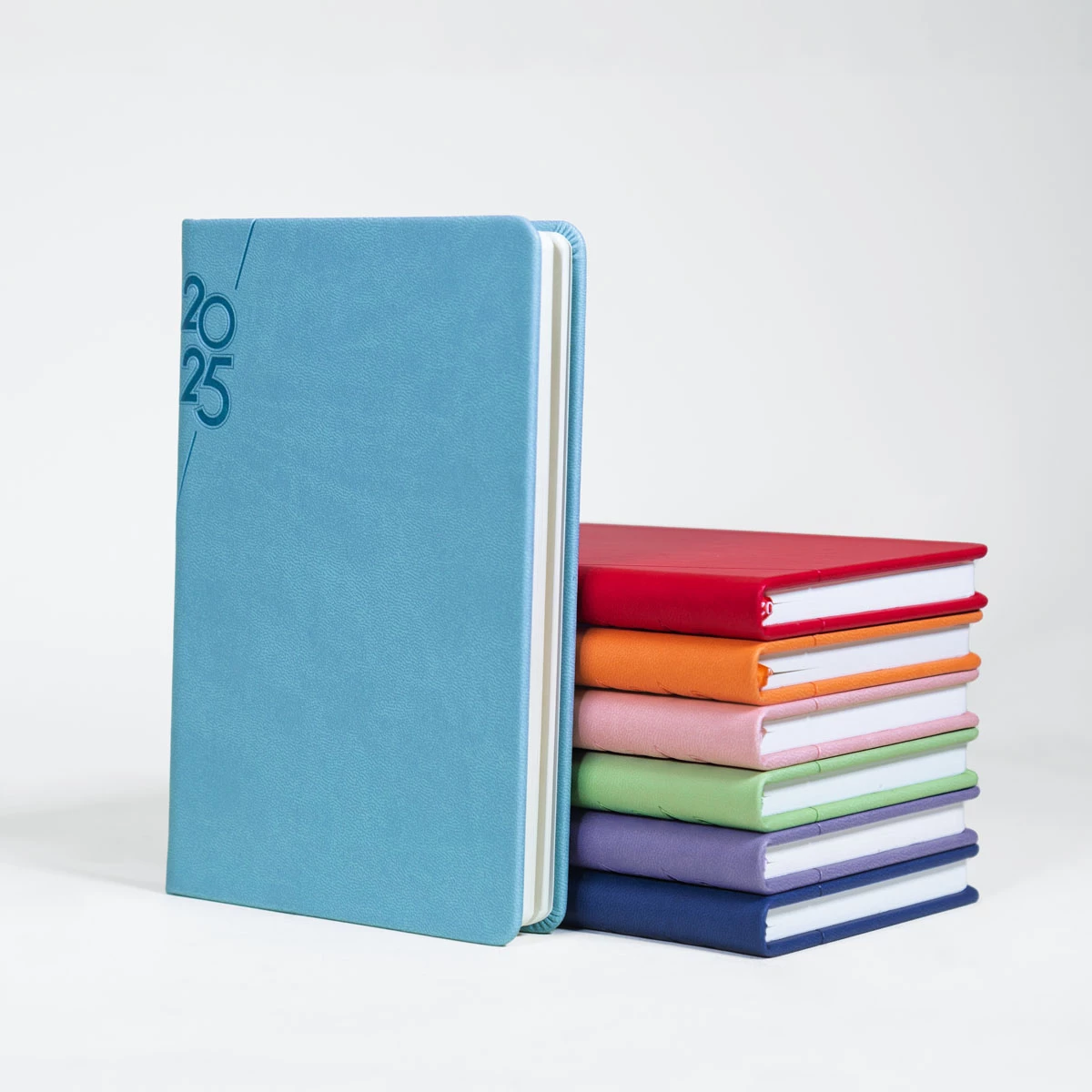 AGENDA MINI TERRA 2025